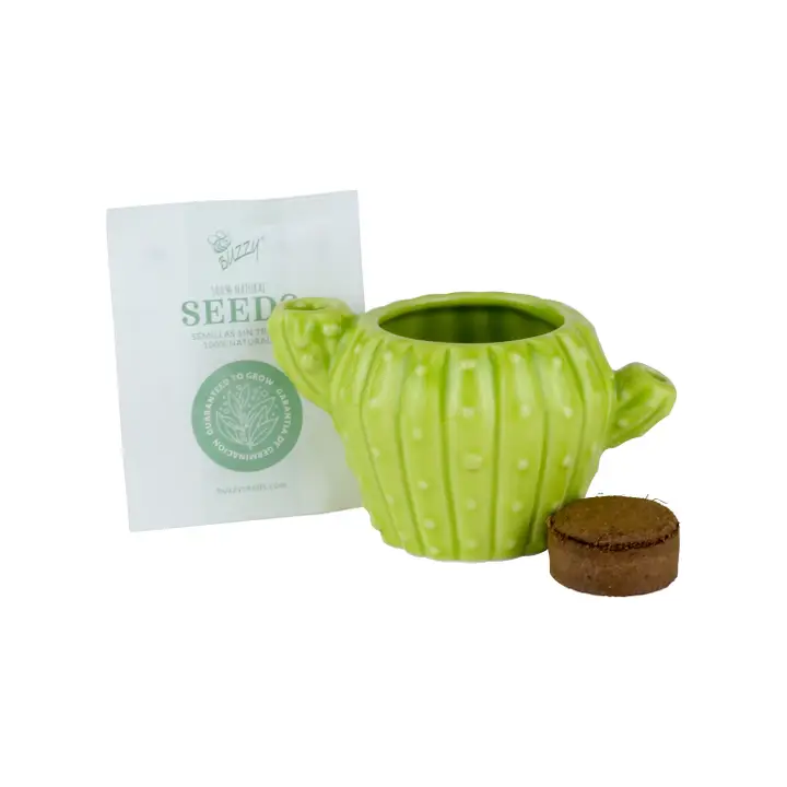 Stocking Stuffer Cactus Grow Kit