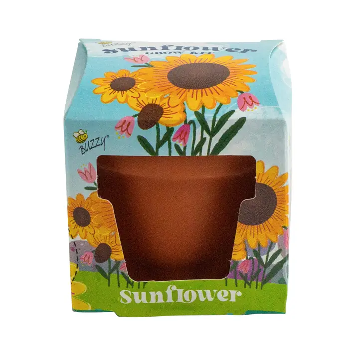 Buzzy Seeds Mini Terracotta Pot - Sunflower Grow Kit
