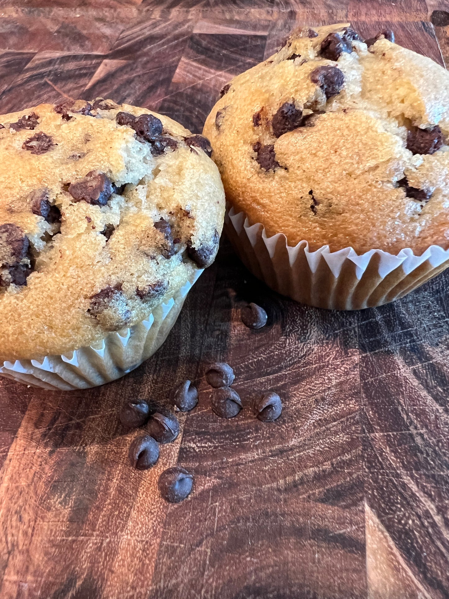 Chocolate Chip Sourdough Starter Muffins, Pre-Order (For Pick up in Helendale Tuesdays & Fridays)