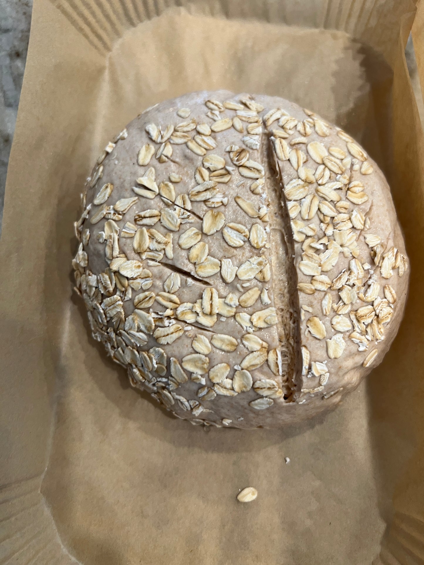 Sourdough Starter Kit for Beginners – Sourdough Junkies