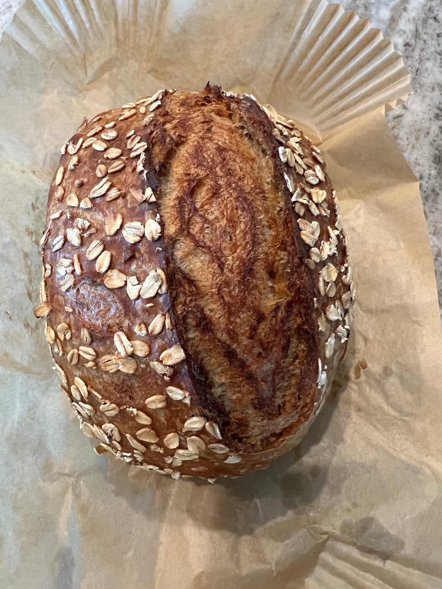 Sourdough Starter Kit for Beginners – Sourdough Junkies