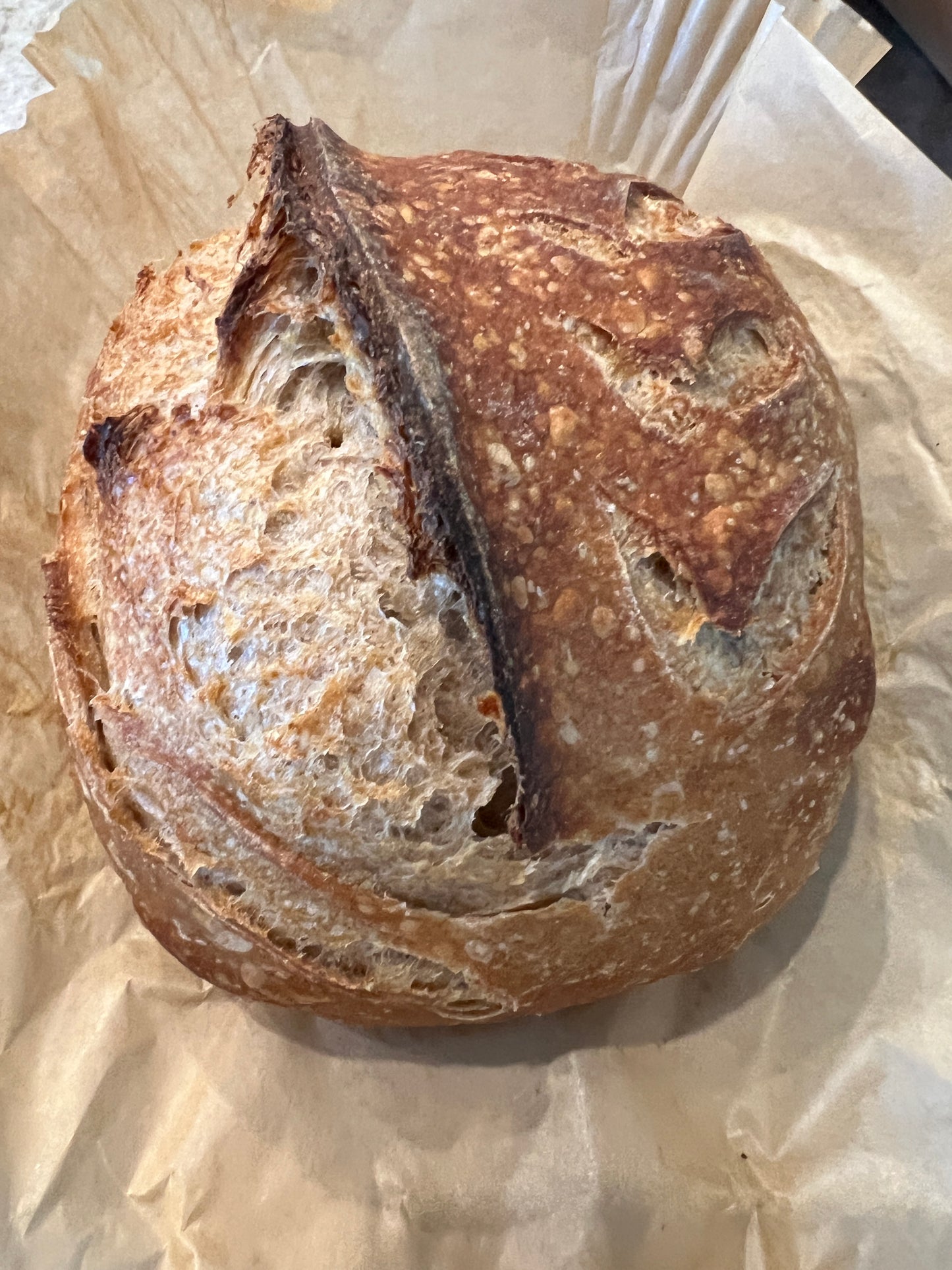 Sourdough Starter Kit for Beginners – Sourdough Junkies