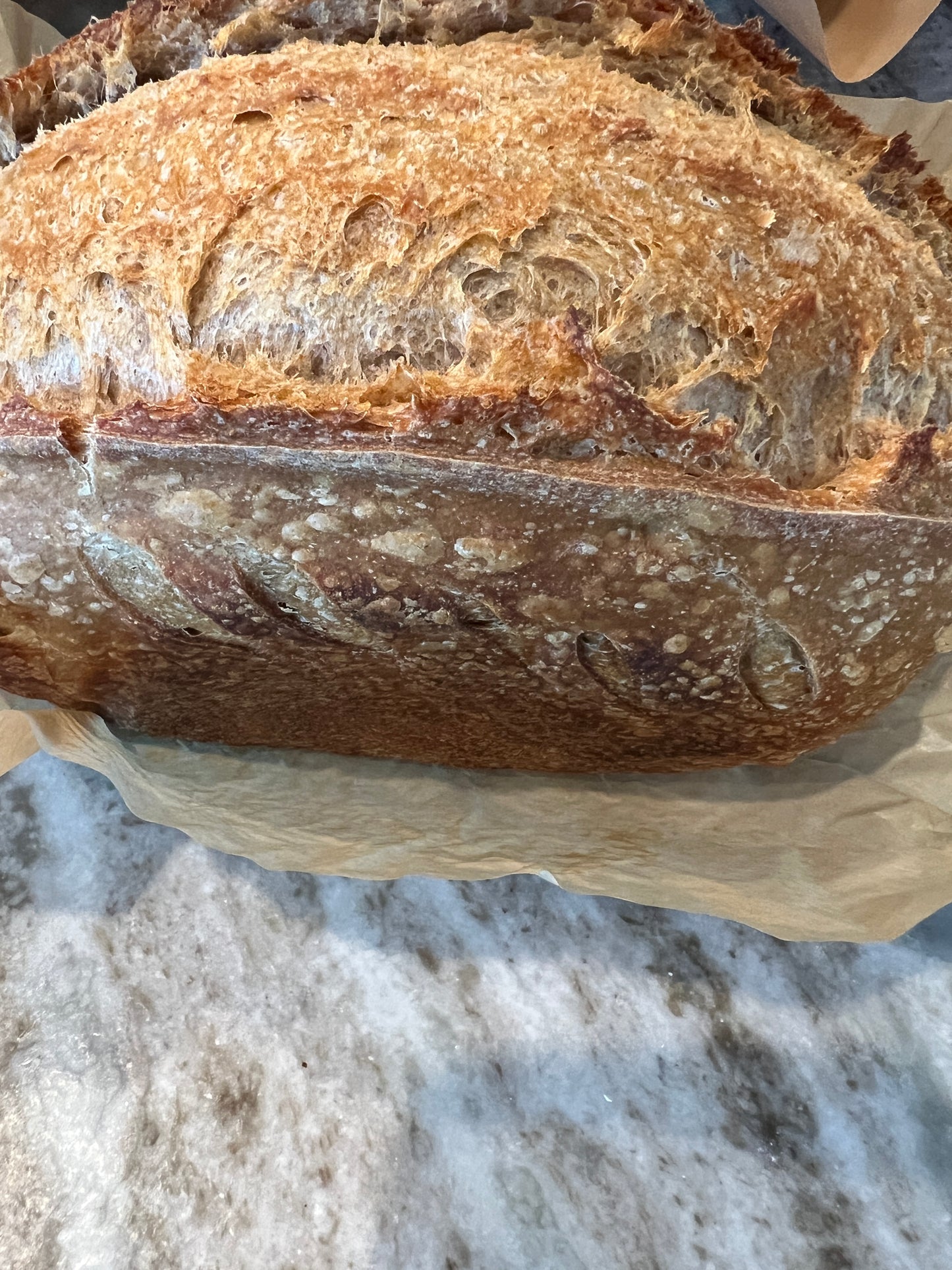 Sourdough Starter Kit for Beginners – Sourdough Junkies