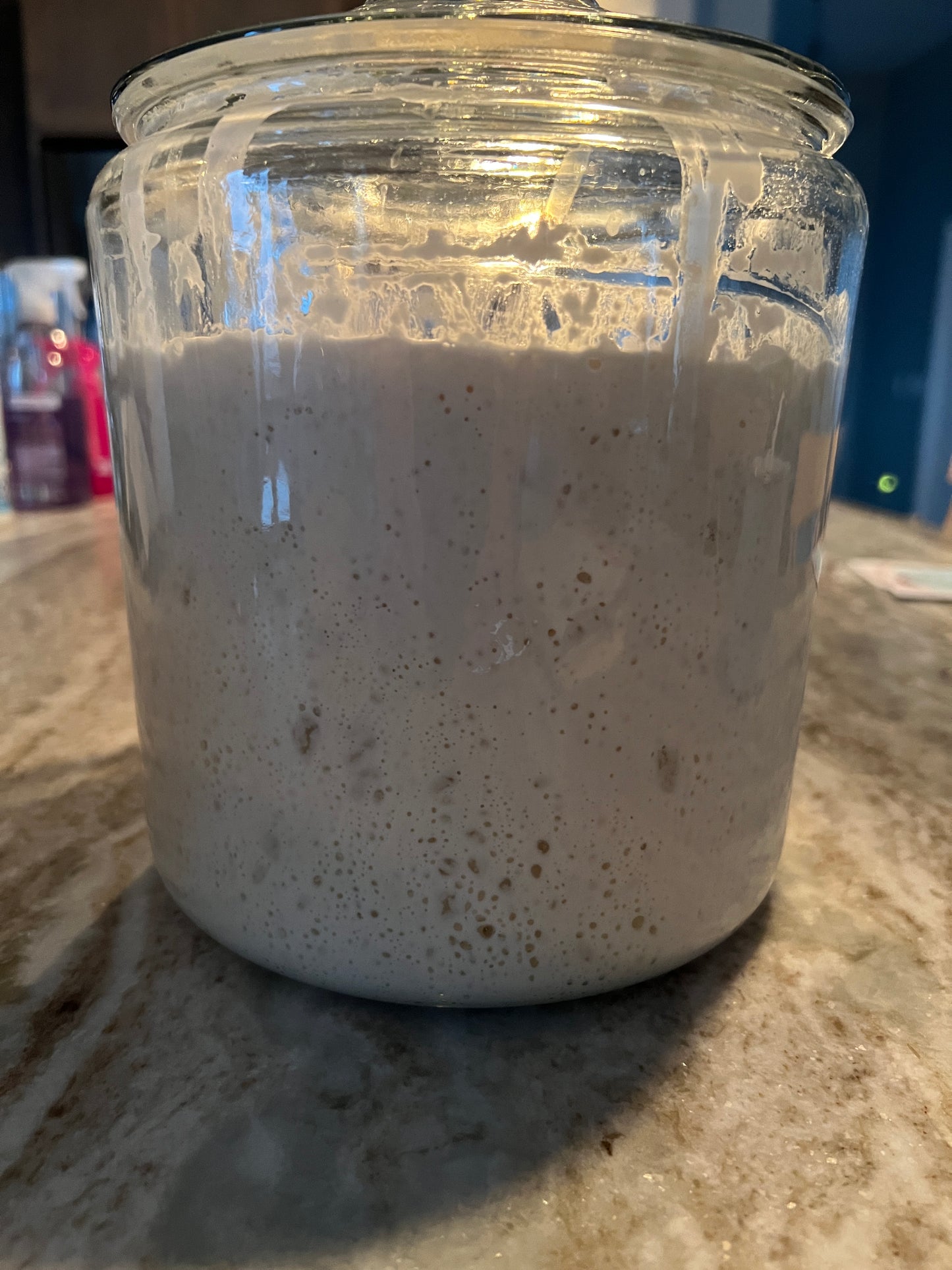 Sourdough Starter Kit for Beginners – Sourdough Junkies