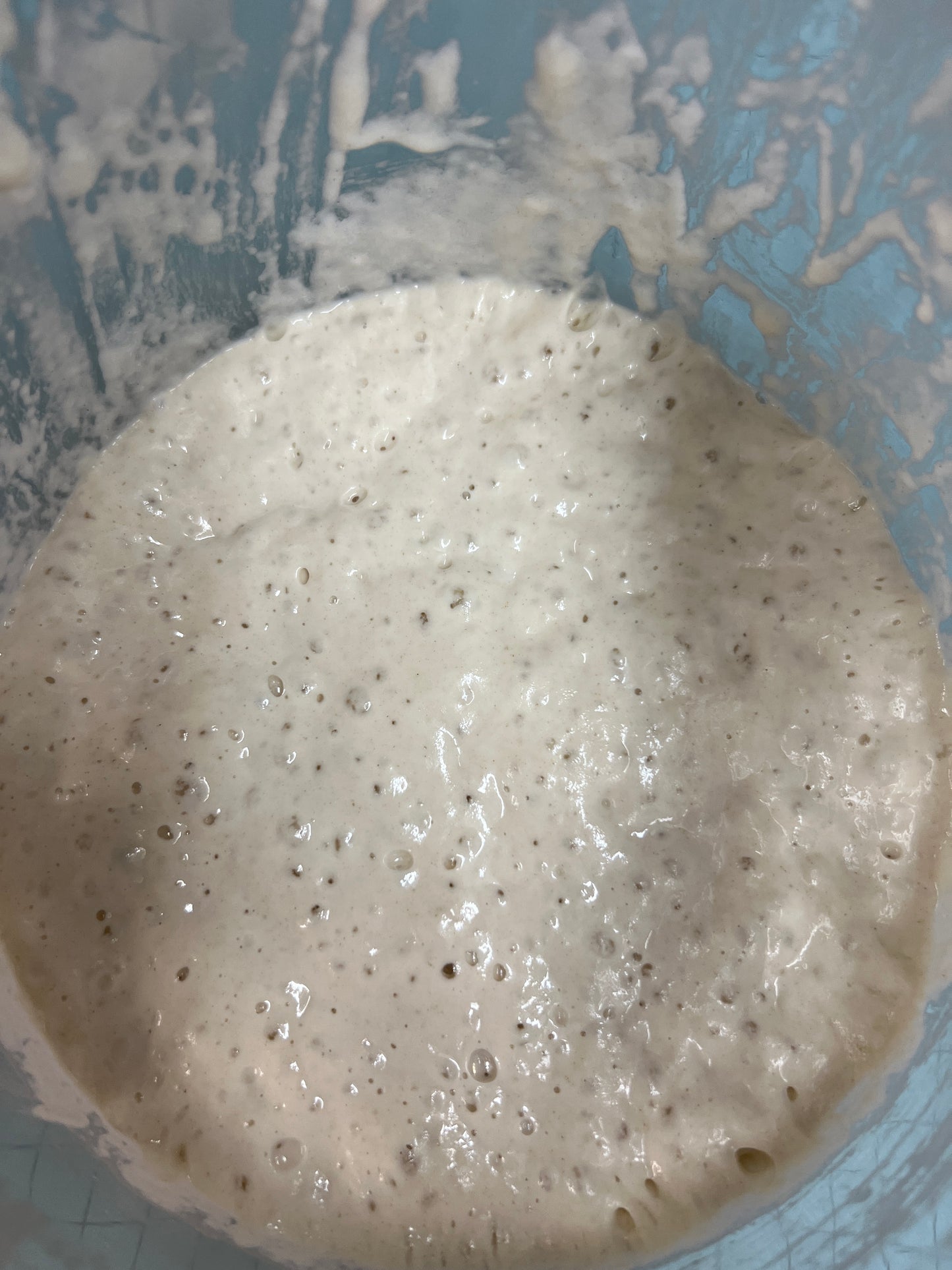 Sourdough Starter Kit for Beginners – Sourdough Junkies
