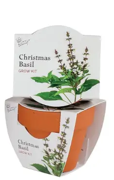Stocking Stuffer Assorted Holiday Mini Grow Pot