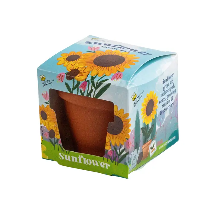 Buzzy Seeds Mini Terracotta Pot - Sunflower Grow Kit