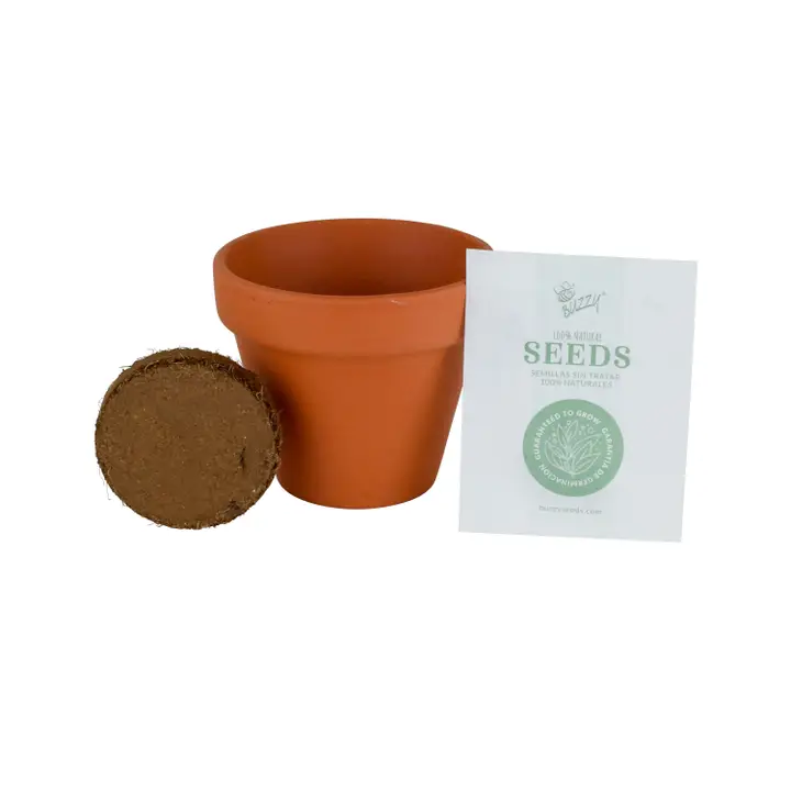 Buzzy Seeds Mini Terracotta Pot - Sunflower Grow Kit