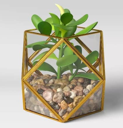 Opalhouse Filled Terrarium Succulent