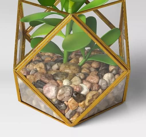 Opalhouse Filled Terrarium Succulent