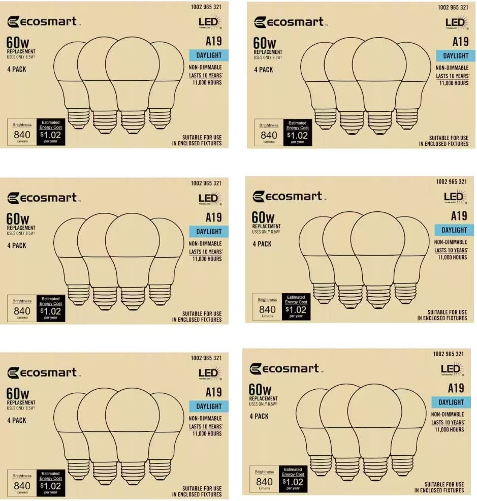 24 Pack 60-Watt Equivalent A19 Non-Dimmable CEC LED Light Bulb Daylight - EcoSmart