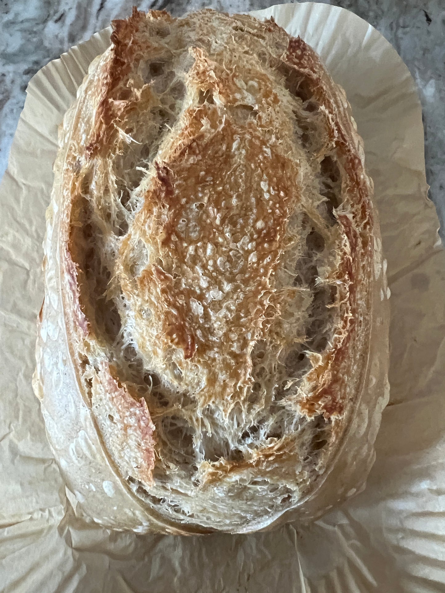Sourdough Starter Kit for Beginners – Sourdough Junkies