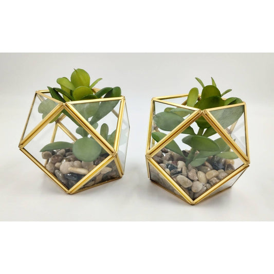 Set of (2) 5" x 4" Artificial Succulent Plant with Brass Terrarium - Opalhouse